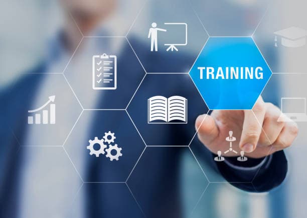 Professional training and development session