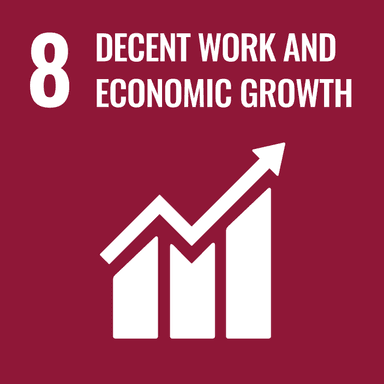 Impact SDG 8