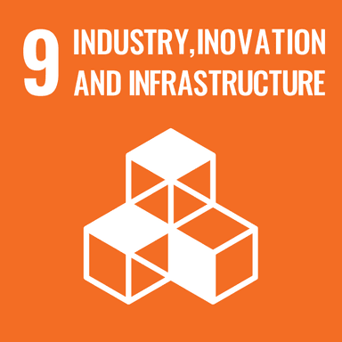 Impact SDG 9